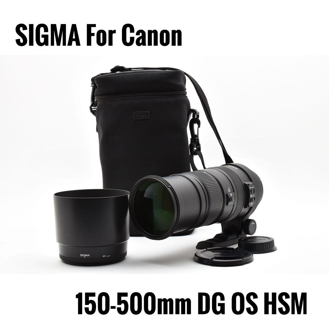 【動作良好】 SIGMA 150-500mm DG OS HSM CANON用