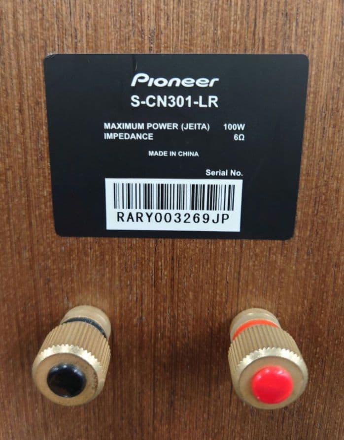 ★☆PIONEER　S-CN301 2WAYスピーカー