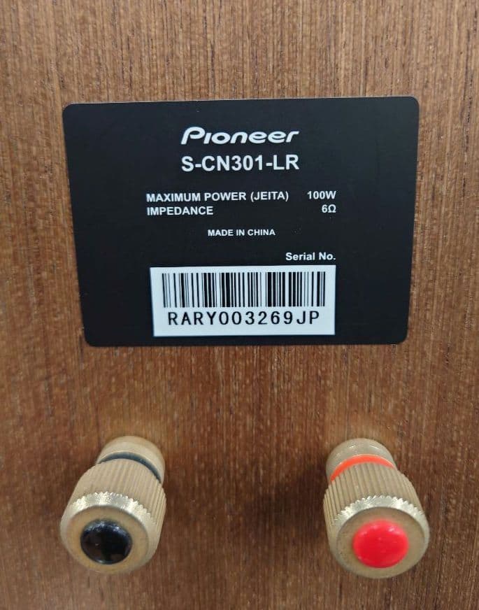 ★☆PIONEER　S-CN301 2WAYスピーカー