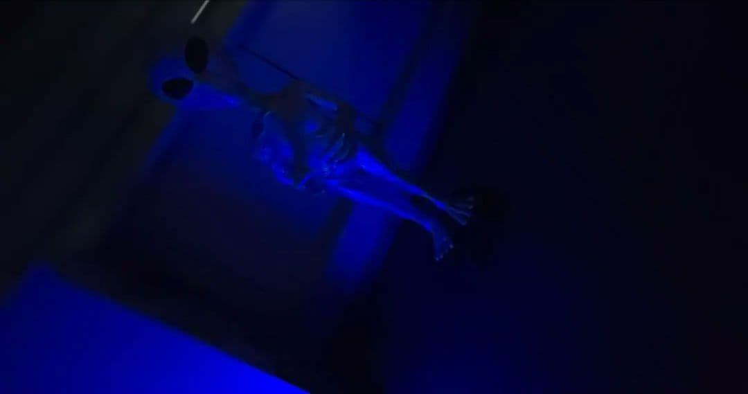 ロゴストロン 上位機種大型本体機 Ｋシリーズ 100Ti