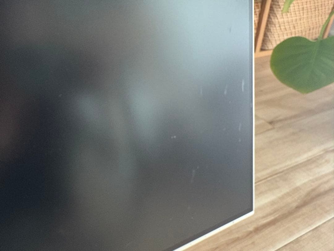 EIZO FlexScan EV2451 24inch 外部ディスプレイ