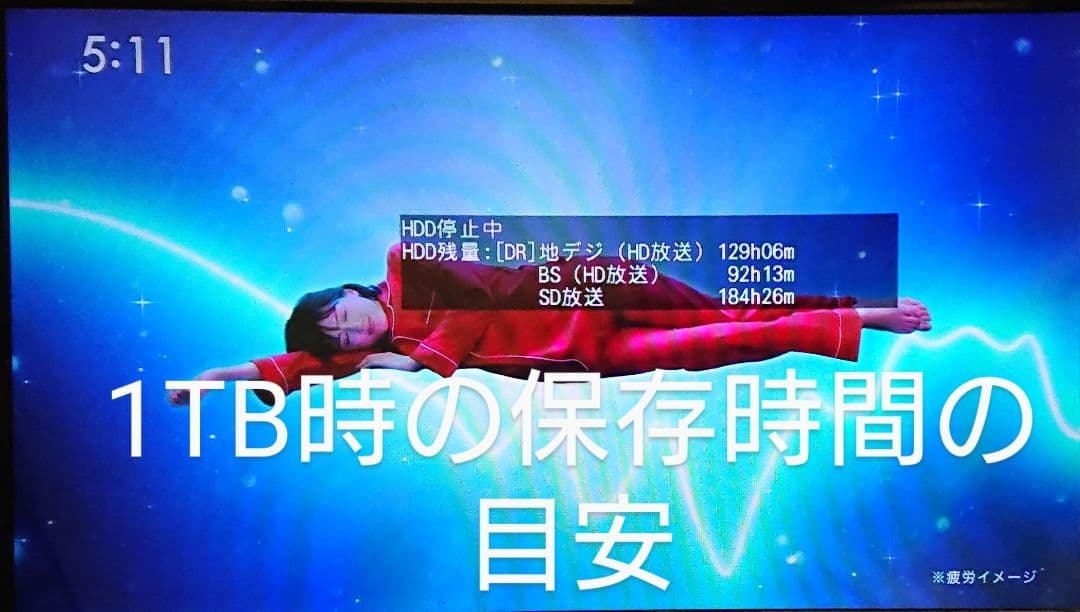 大容量1TB/三菱/DVR-BZ130/CMカット/最高画質で130時間/W録