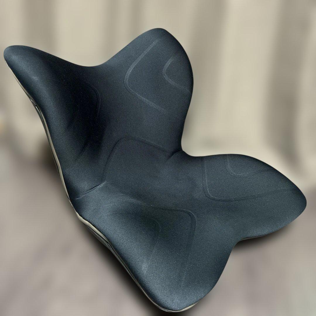 Style PREMIUM ブラック　正規品