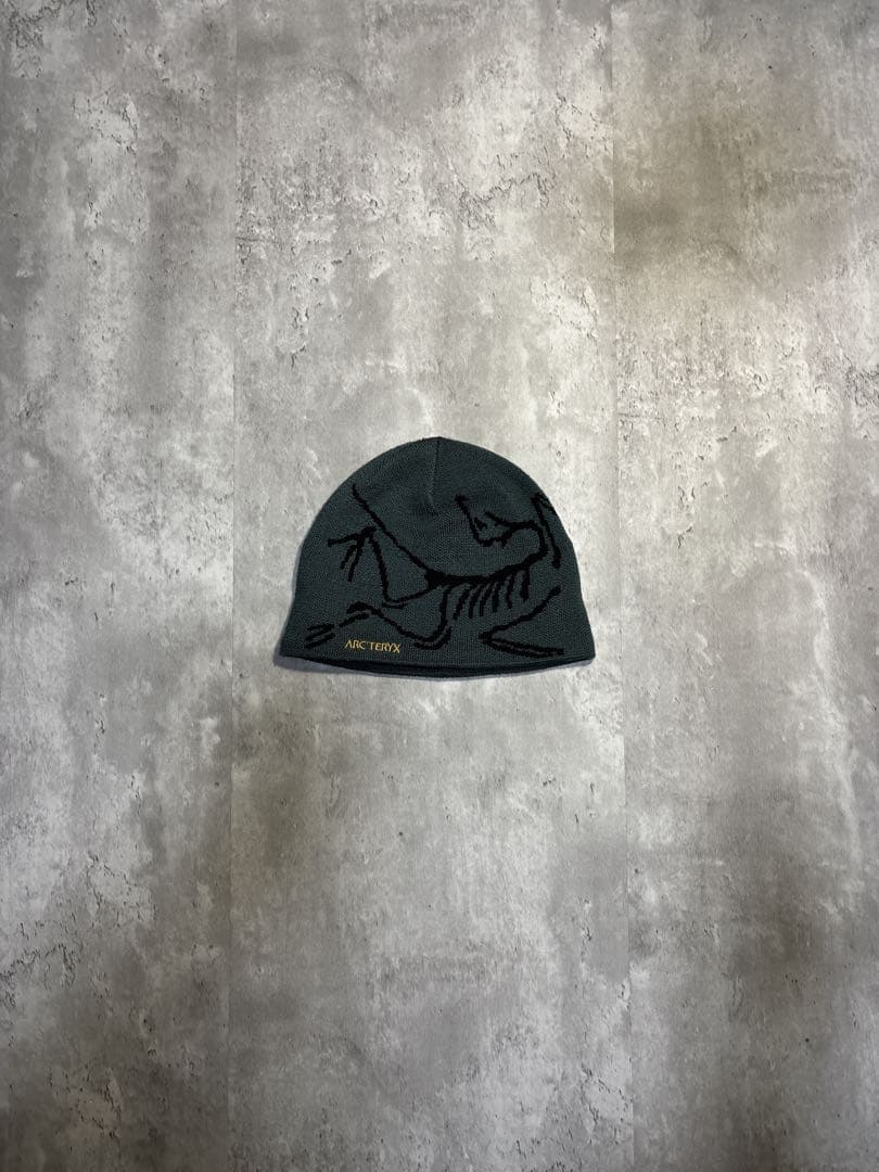 ARC'TERYX BIRD ヘッドトーク　ビーニー帽子
