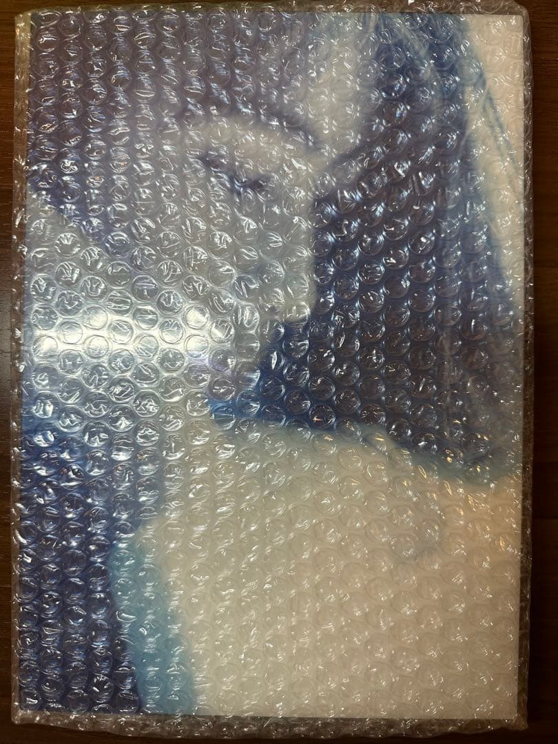 【限定未開封】ZARD 坂井泉水 プレミアムアクリルアート