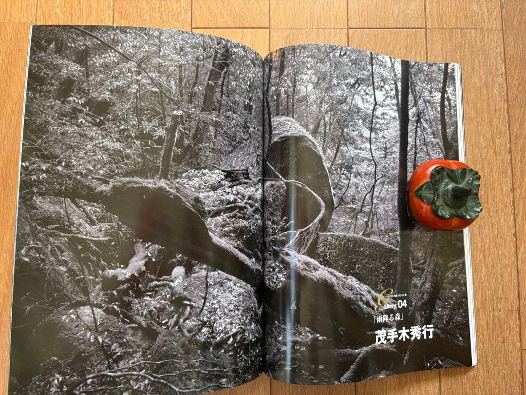 【美品】RICOH デジタルカメラGRII＋GRⅡコンプリートガイド付き