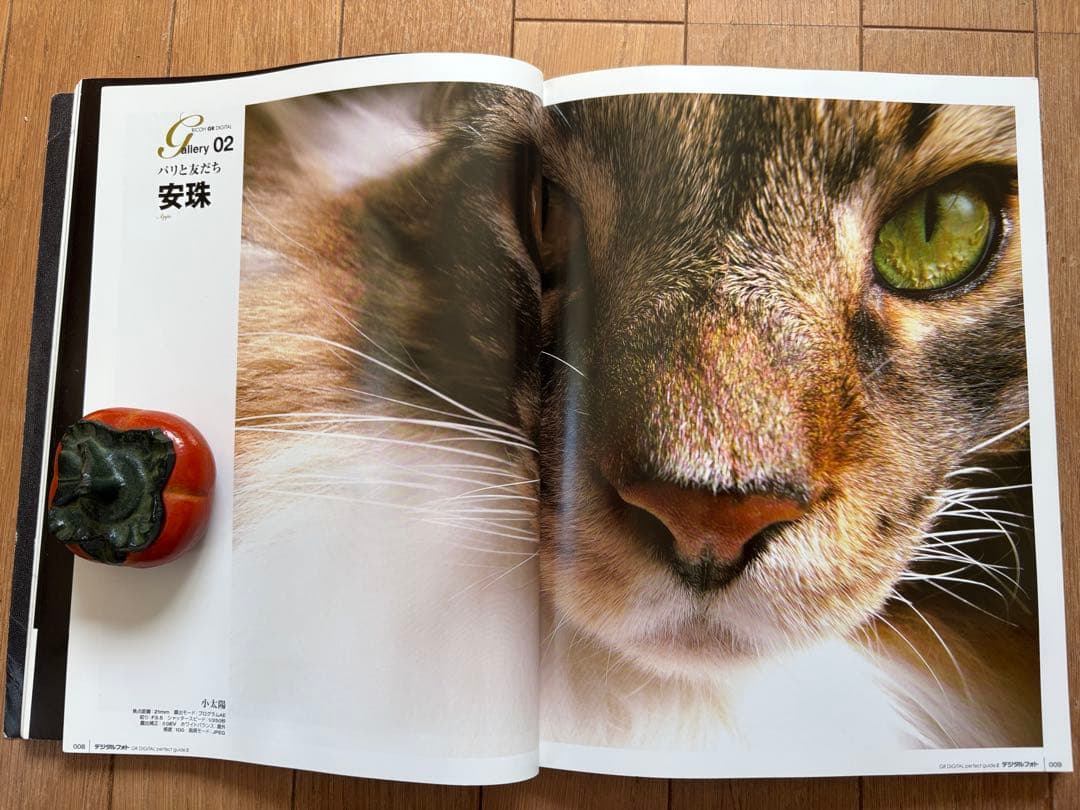 【美品】RICOH デジタルカメラGRII＋GRⅡコンプリートガイド付き