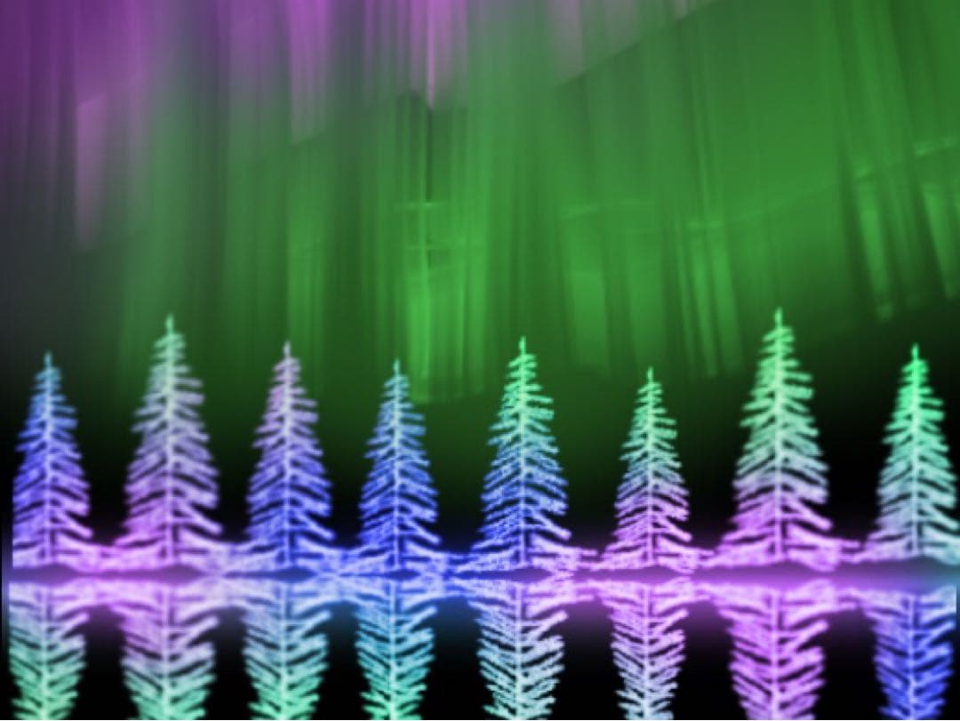 青森りんごオーダーページ②