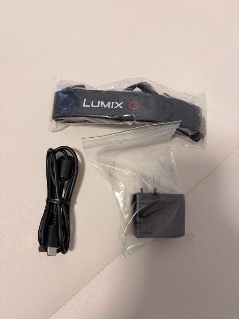 LUMIX DC-G100DW ミラーレスカメラ