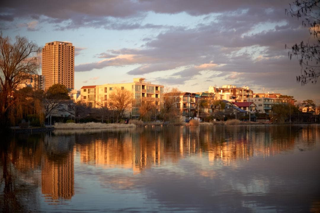 ライカ LEICA NOCTILUX-M 1:1.2/50 ASPH.