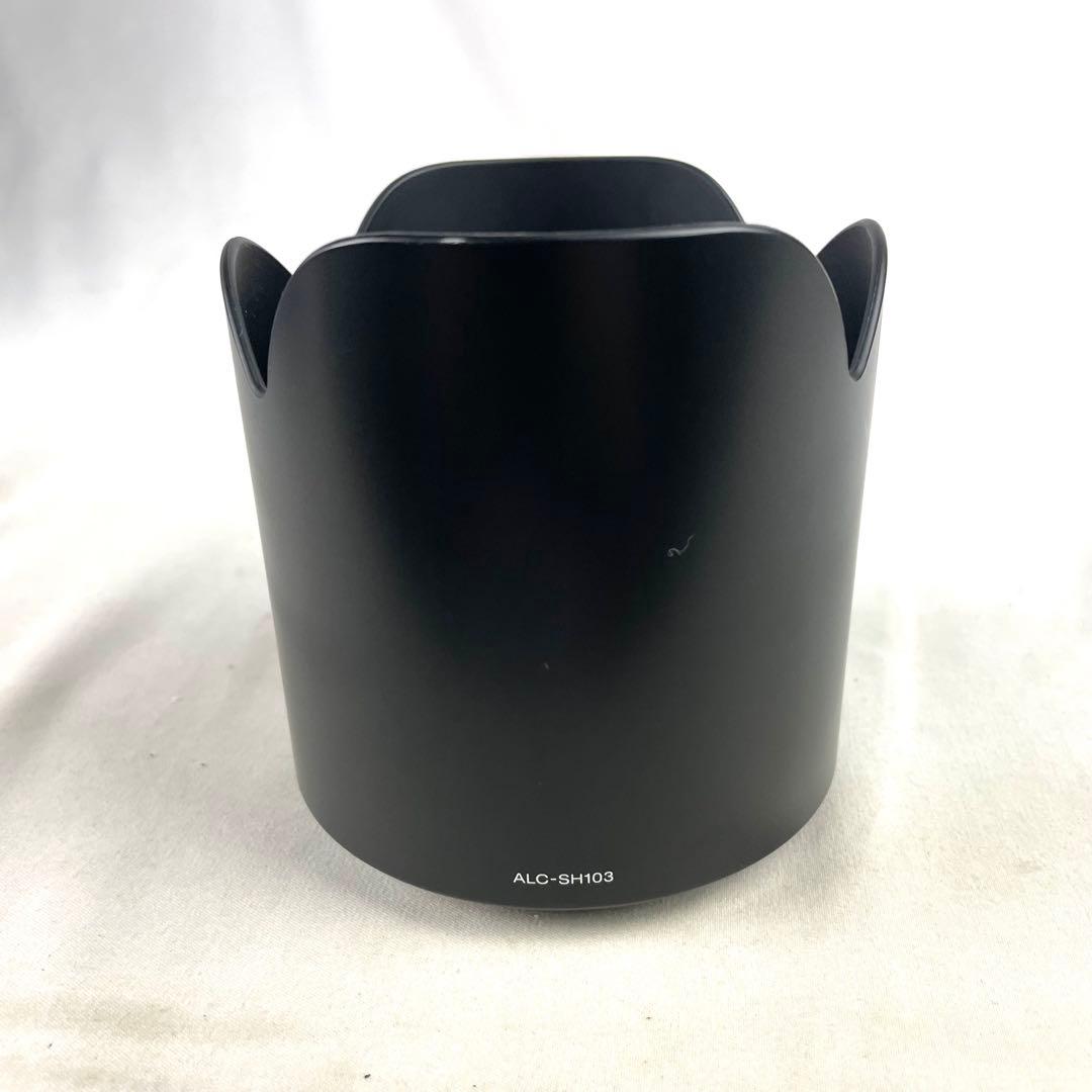 SONY ソニー レンズ SAL70300G 70-300mm F4.5-5.6