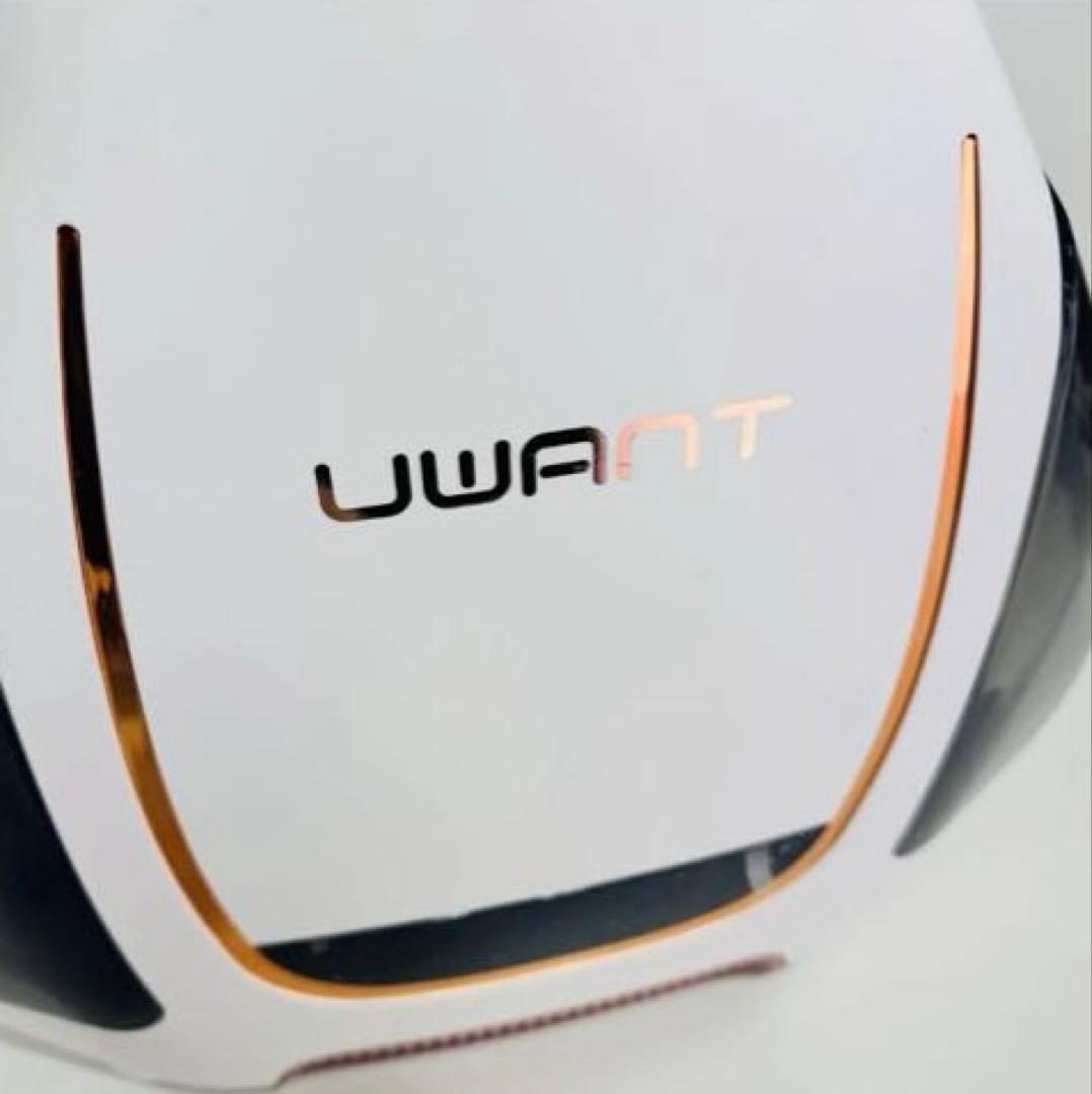 UWANT ユーワント カーペットクリーナー B100-J リンサークリーナー