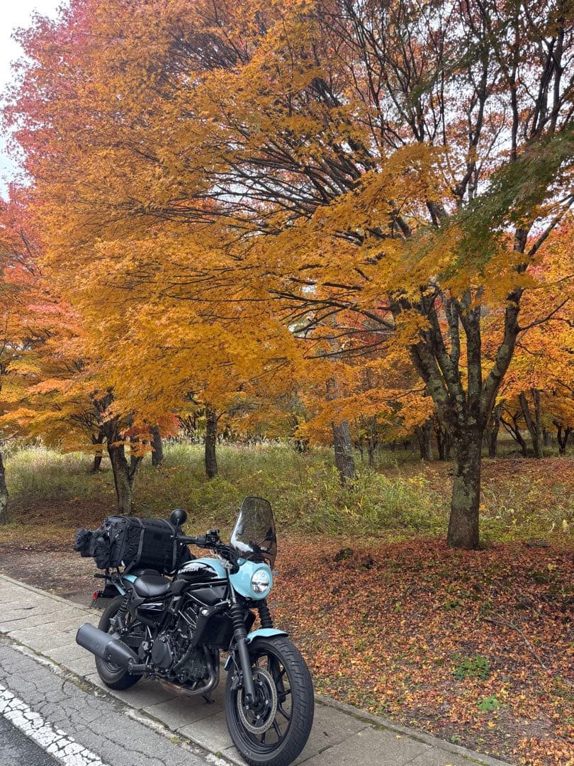 GIVI A604 スクリーン