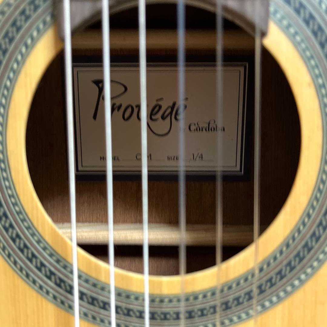 Cordoba/ C1M 1/4 size〈コルドバ〉袋ケース付き