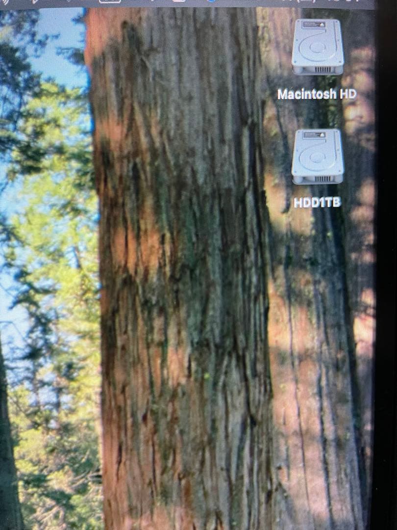 メ*ク様 Mac mini 2014 i7 16GB SSD128+HDD1TB