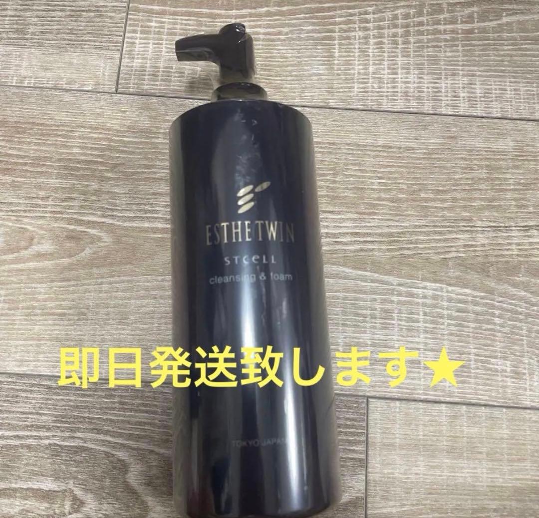 エステツイン SE クレンジング&フォーム 500ml (おまとめ可能)