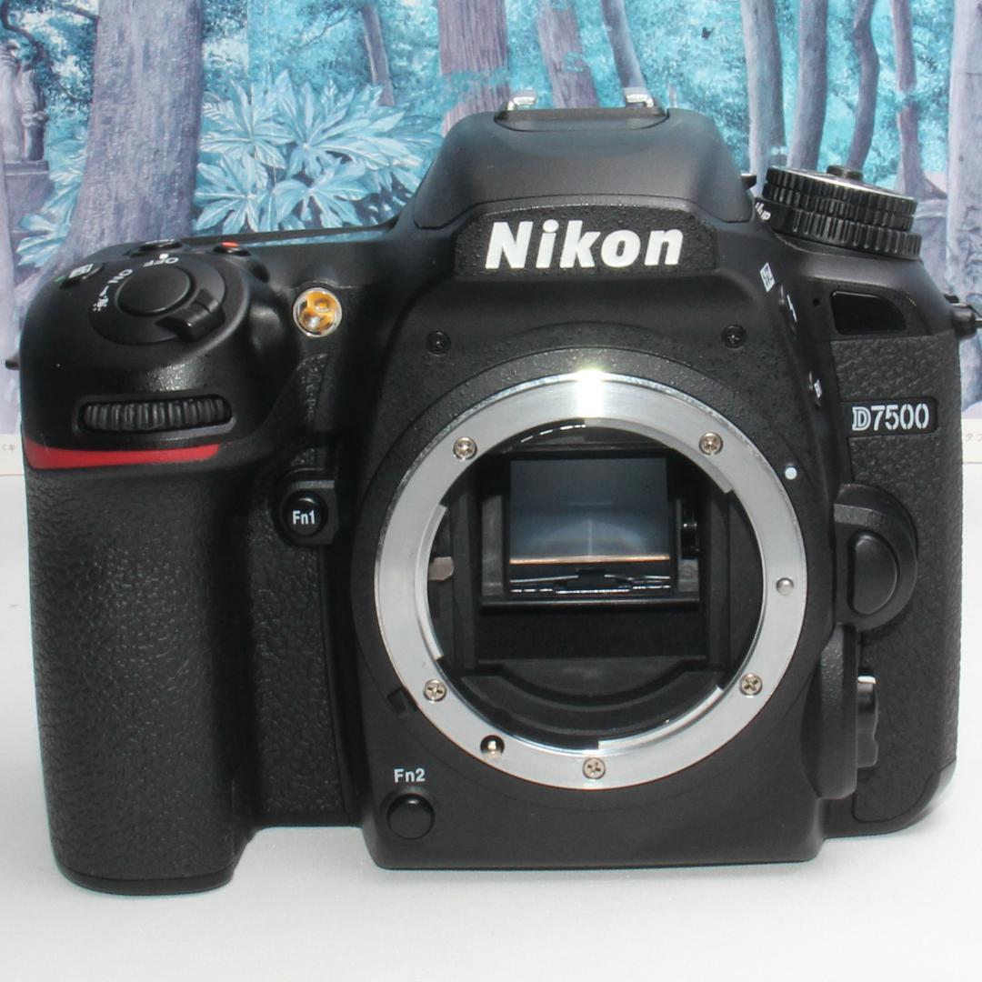 ❤️高性能の詰まった軽量ボディ❤️Nikon D7500 ダブルレンズ❤️