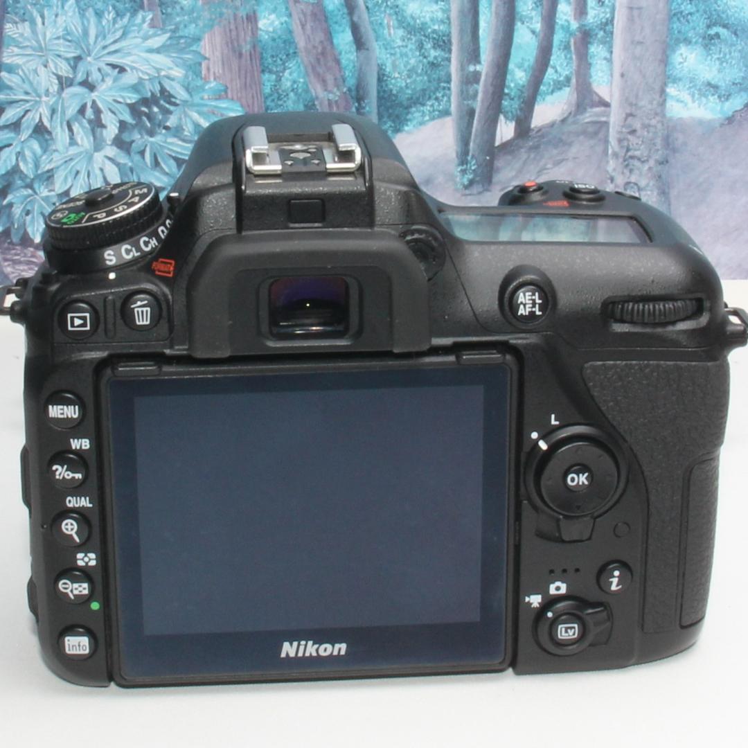 ❤️高性能の詰まった軽量ボディ❤️Nikon D7500 ダブルレンズ❤️