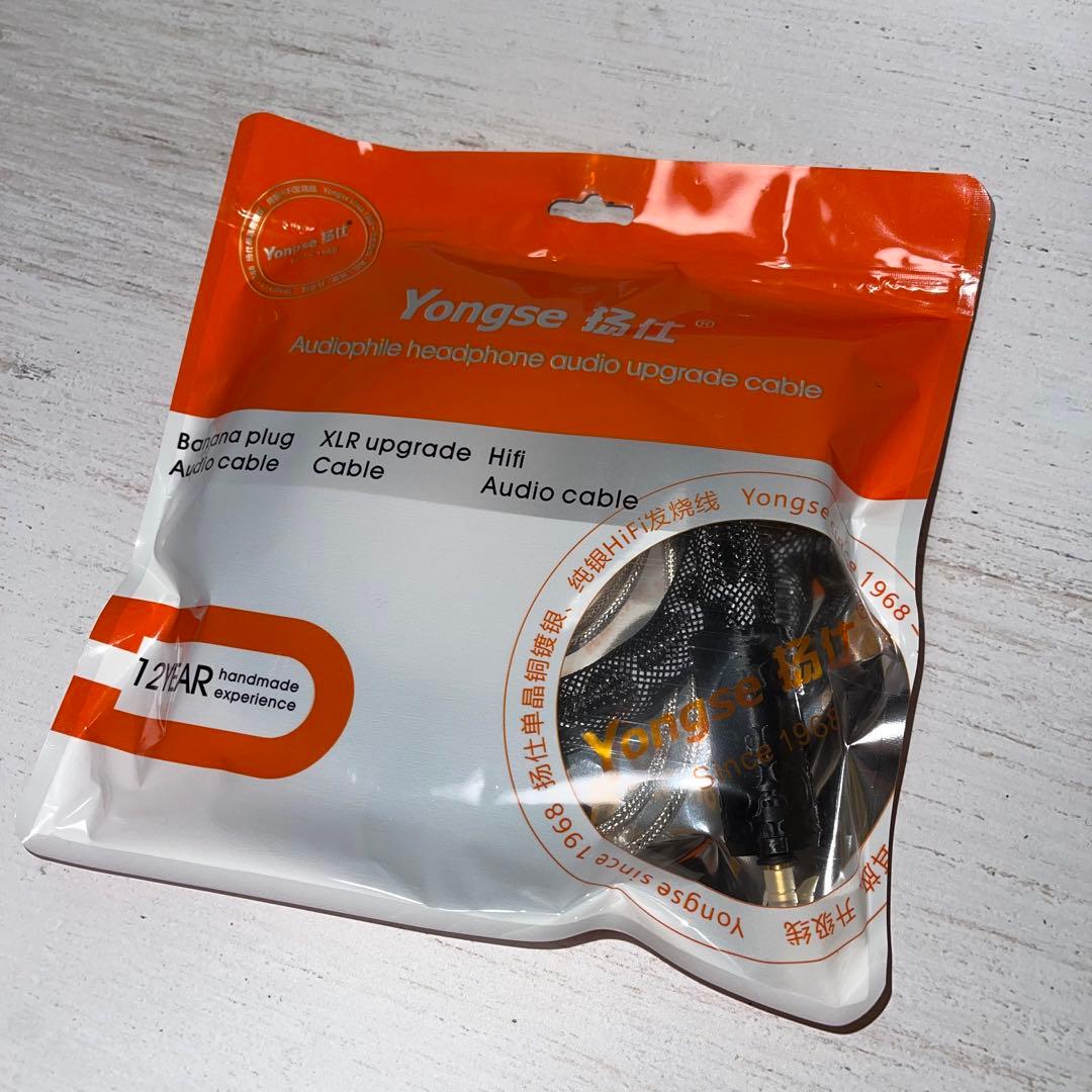 Yongse A-melody 0.78mm 2pin + 4.4mmプラグ