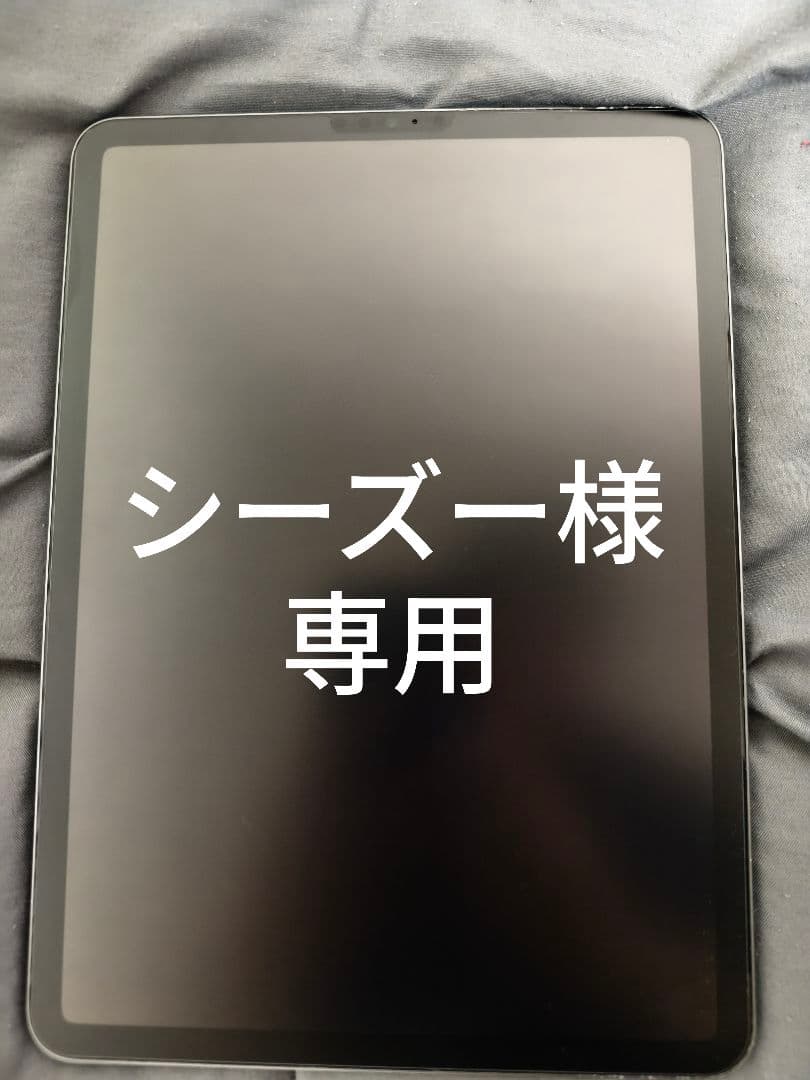【シーズー】iPad Pro 11 2021(M1) 256GB ジャンク