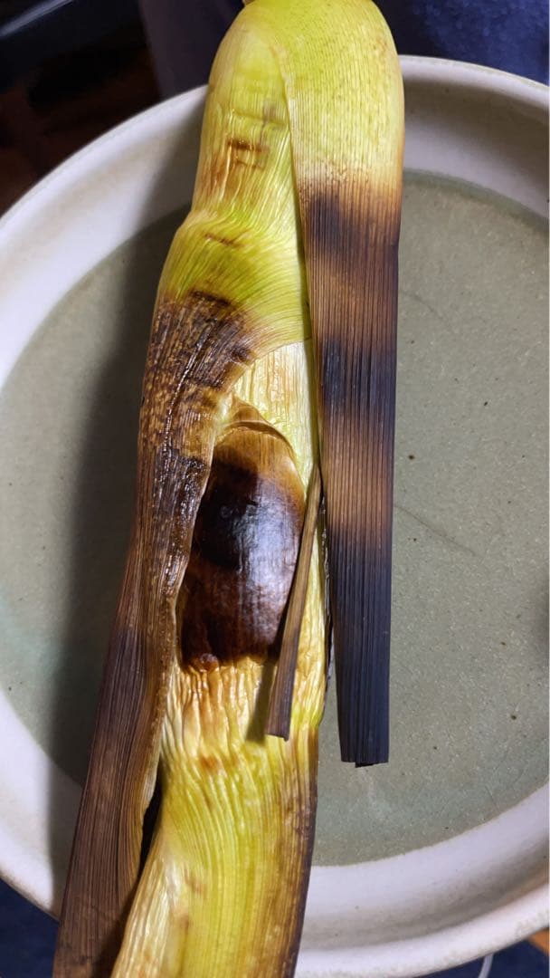 【採れたて】特大 終盤 マコモダケ宅急便80 5kg 愛知県産 自然農