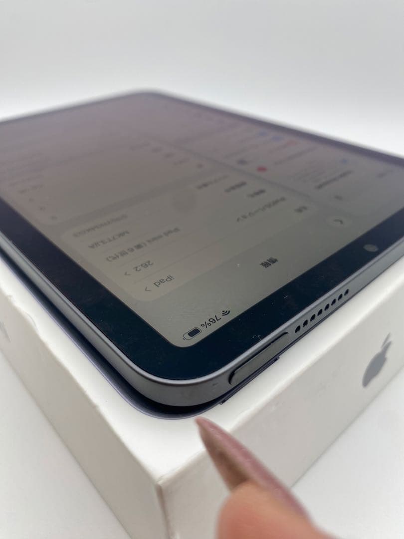 Apple iPad mini (青色) 本体