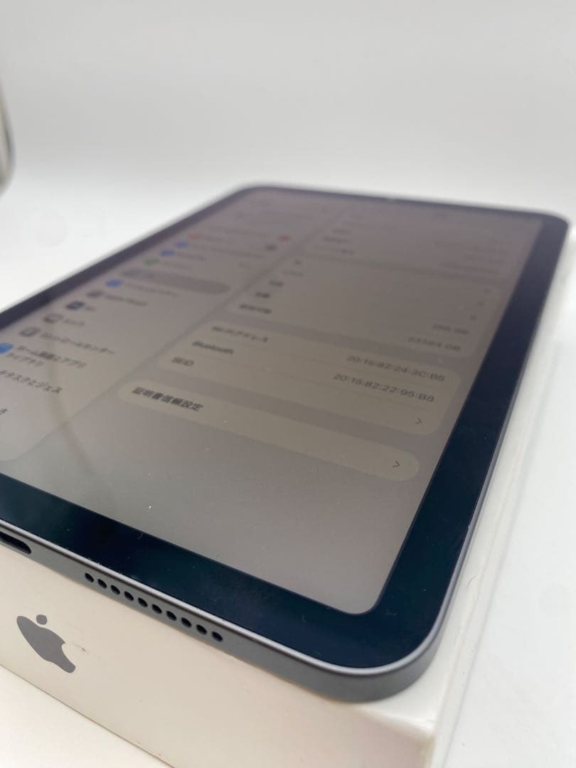 Apple iPad mini (青色) 本体