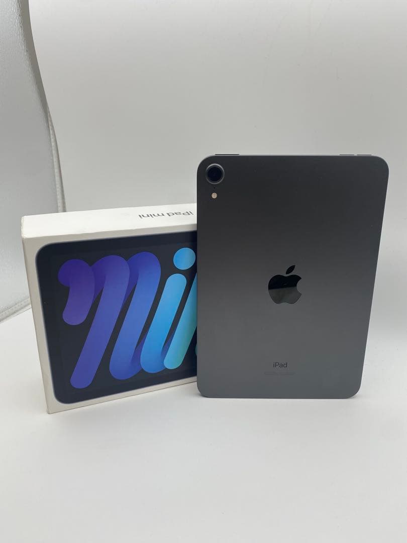 Apple iPad mini (青色) 本体