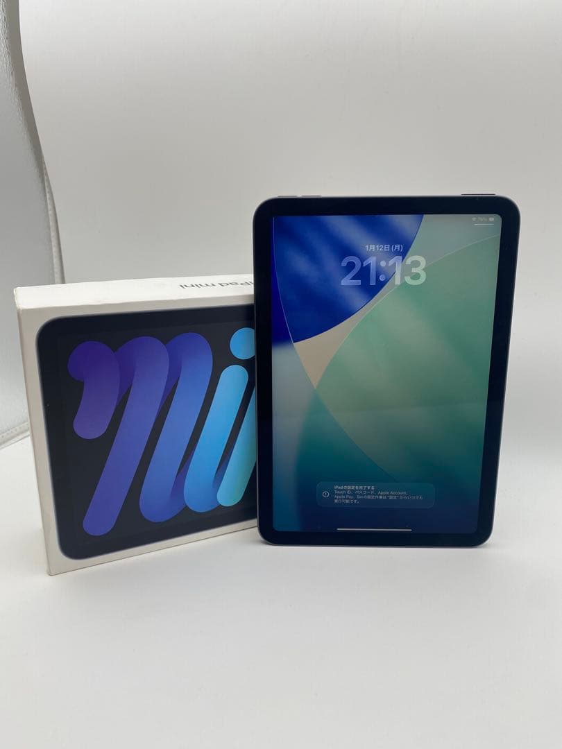 Apple iPad mini (青色) 本体
