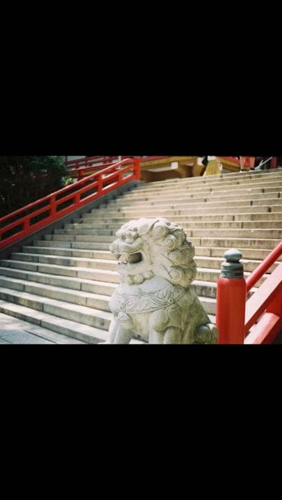 フジカ35EE fujica 試写済 フィルターあり