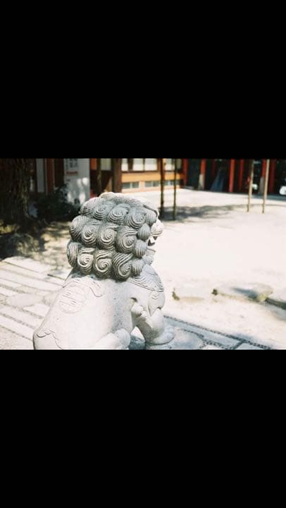 フジカ35EE fujica 試写済 フィルターあり