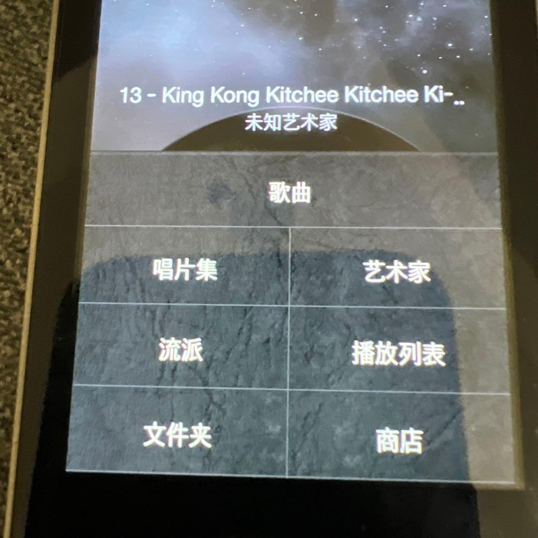 希少　i Astell&Kern AK240 256GB ガンメタル