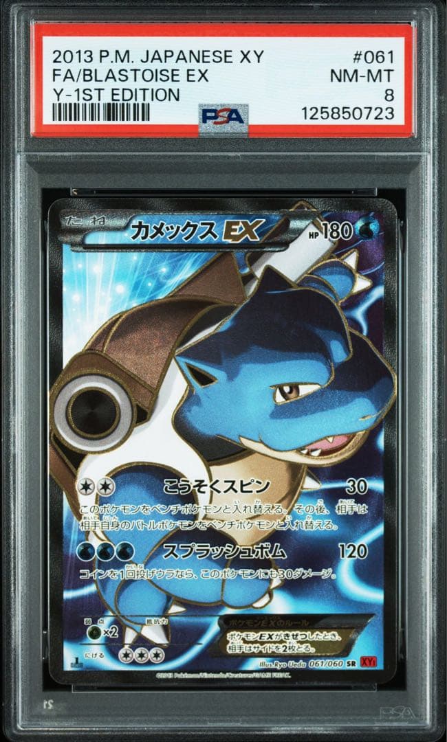 カメックス bw psa8 sr