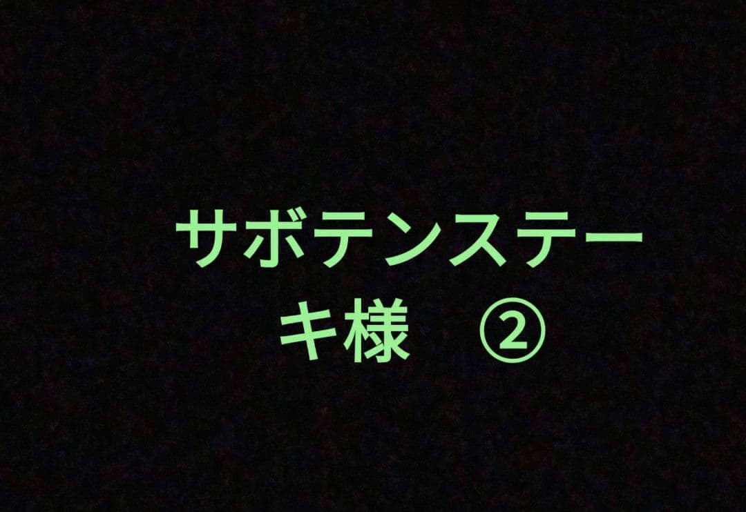 ②　専用出品　タイヤ　２本セット