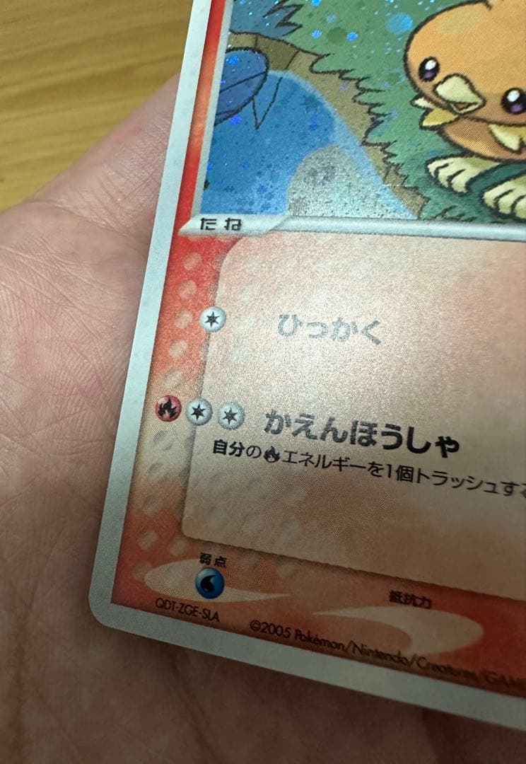 ポケパークのアチャモ　プレミアムファイル