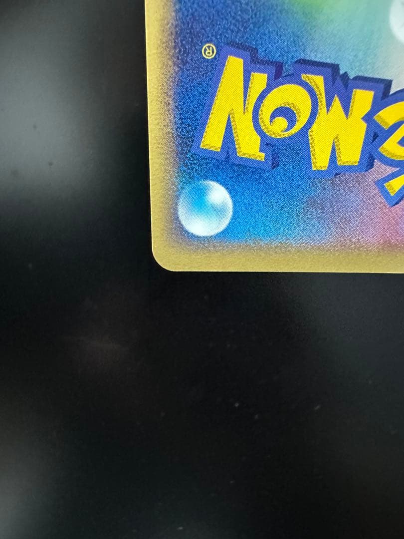 ポケパークのアチャモ　プレミアムファイル