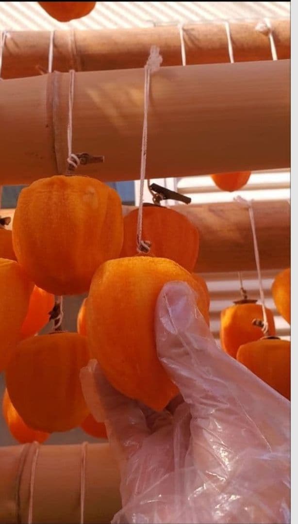 ⭐Kito aya⭐山梨県産甲州枯露柿干し柿15個入り(50g以上)5箱