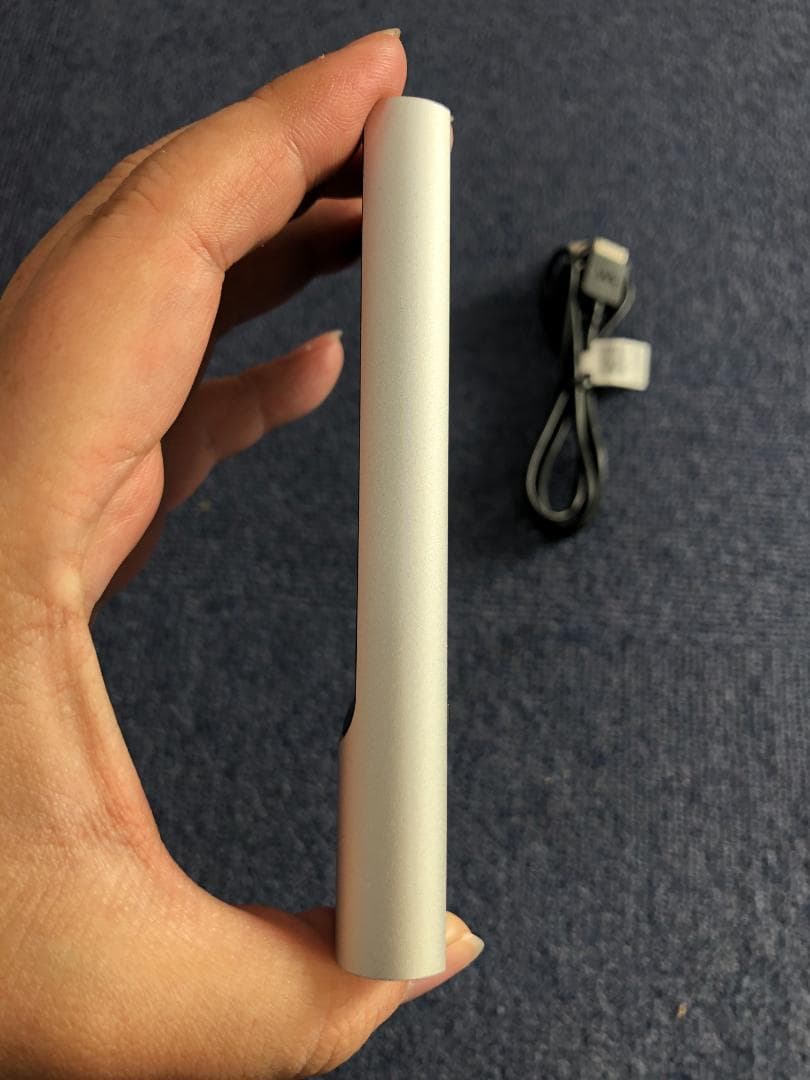 ポータブルプレーヤー SONY WALKMAN NW-ZX100