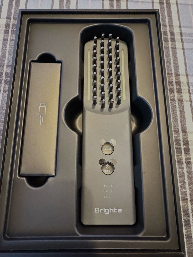 ブライト　エレキブラシプラス　ミッキーマウスデザイン