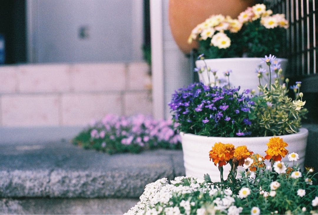 【中古品】Canon FTb（本体・レンズ2本・ストロボ・バッグ）