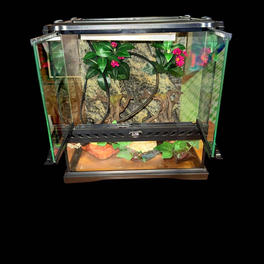 【ヒーター付き】GEX エキゾテラ グラステラリウム 3030