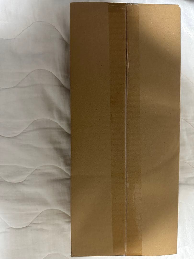 ホロライブカードゲーム ブルーミングレディアンス　カートン　10box