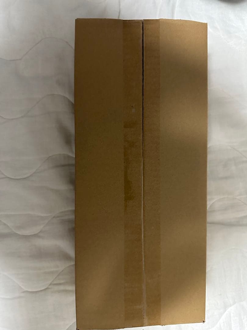 ホロライブカードゲーム ブルーミングレディアンス　カートン　10box