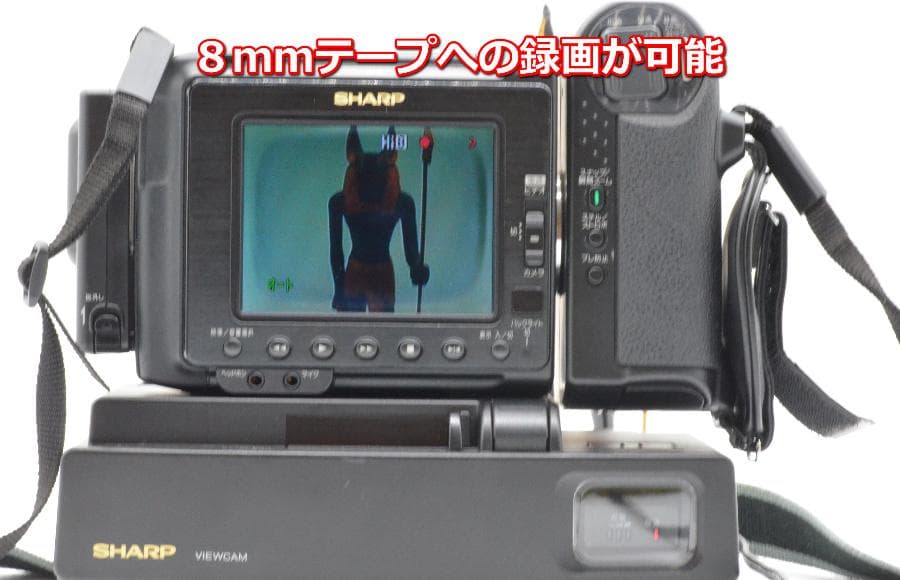 【動作確認済み】SHARP/シャープ VIEWCAM VL-HL3 ビューカム