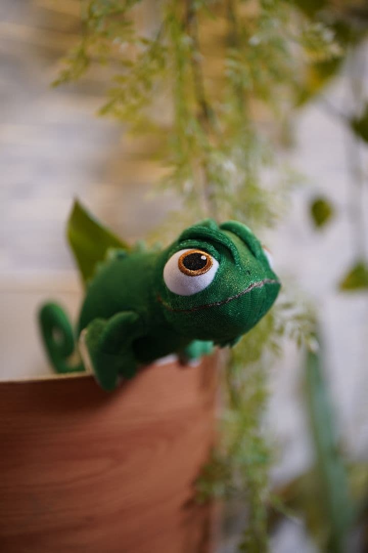 Sony a7iii ILCE-7M3 ソニーミラーレス一眼