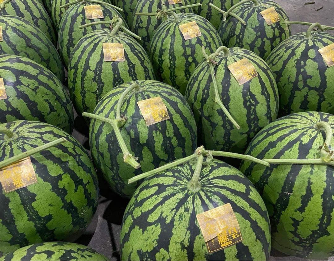 衝撃のサイズと甘さ、金色羅皇6L2玉セット24k前後箱込　かめまる食堂