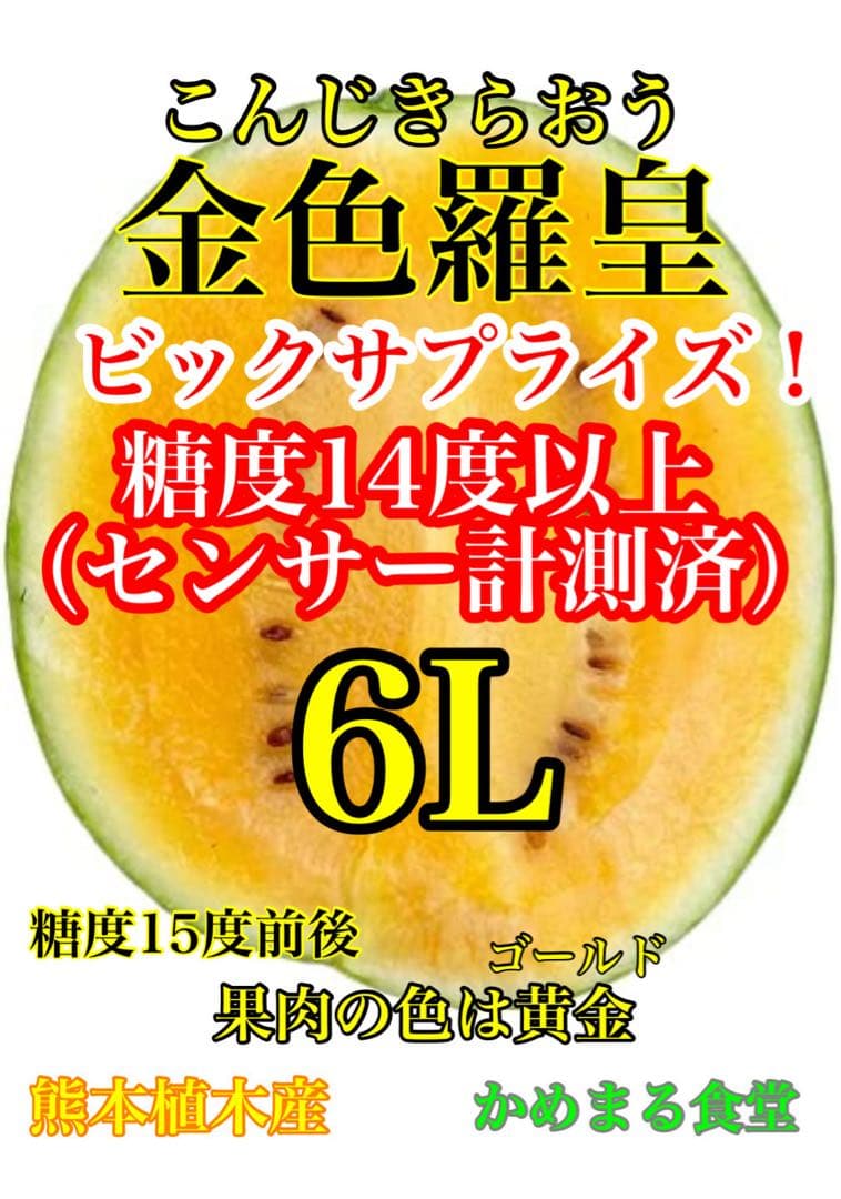 衝撃のサイズと甘さ、金色羅皇6L2玉セット24k前後箱込　かめまる食堂