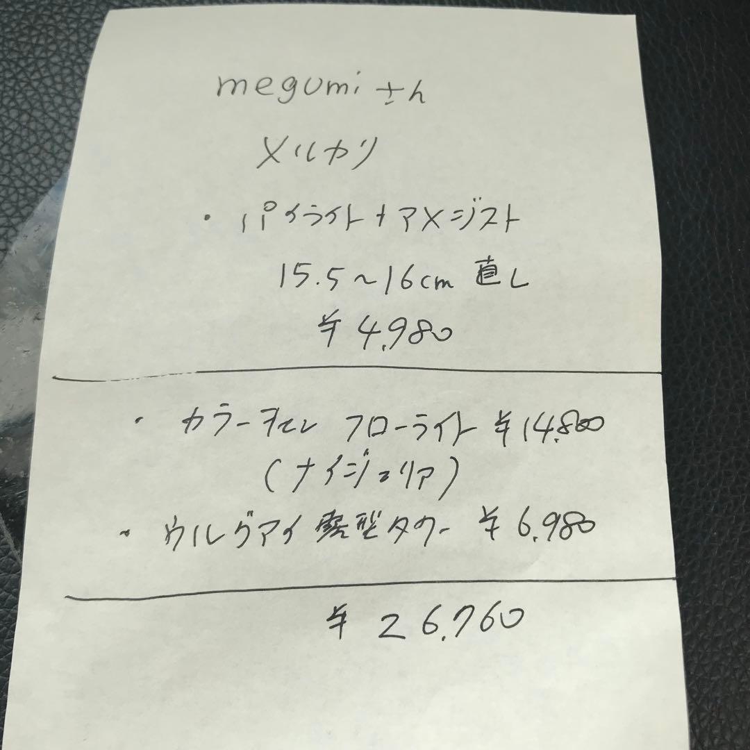 ふじもと様❣️専用ページ