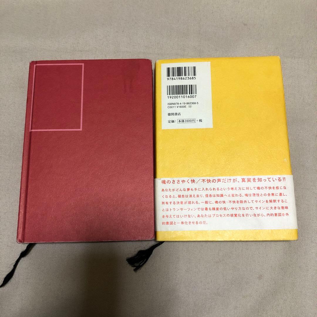 リアリティ　トランサーフィン