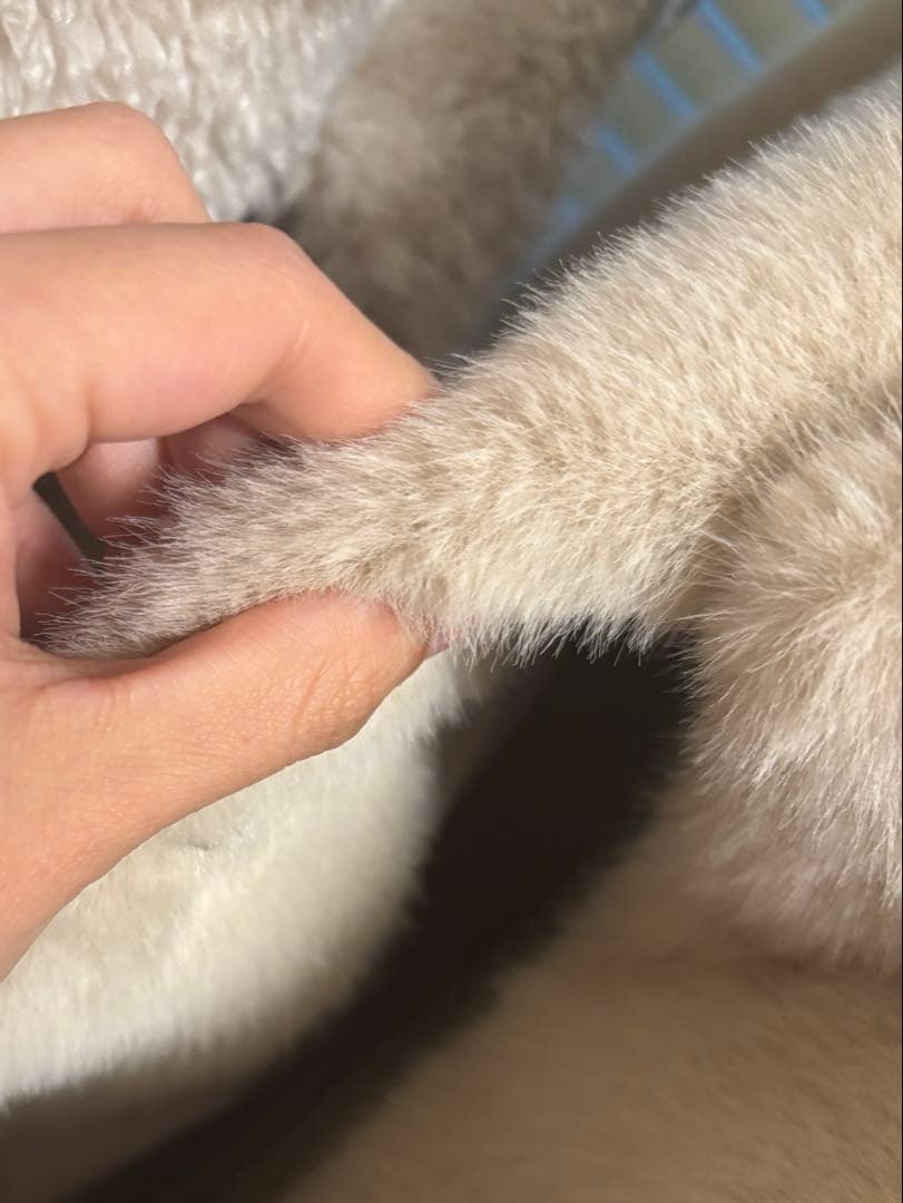 新品未使用品　fl lanel / Mink fur jacket 3color